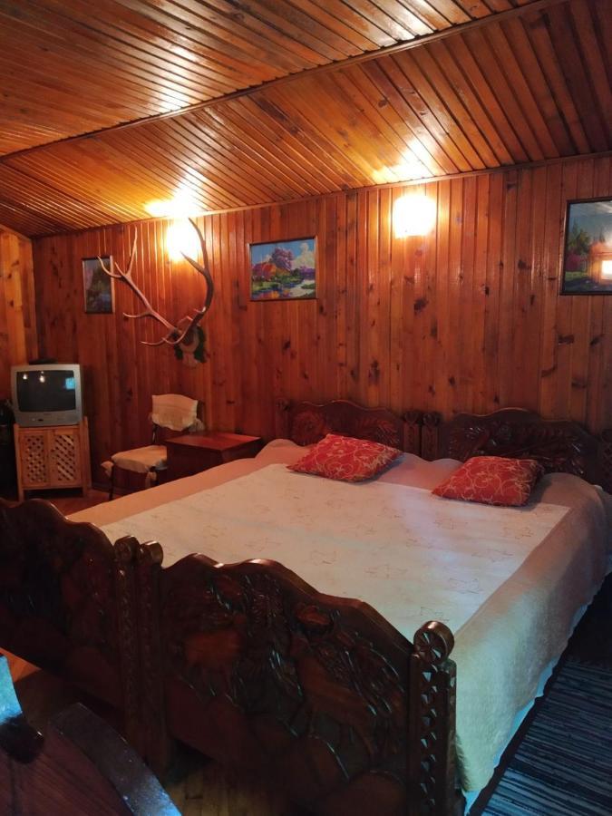 Domik S Saunoy Na Ogiyenko Apartment Camenița Exterior foto