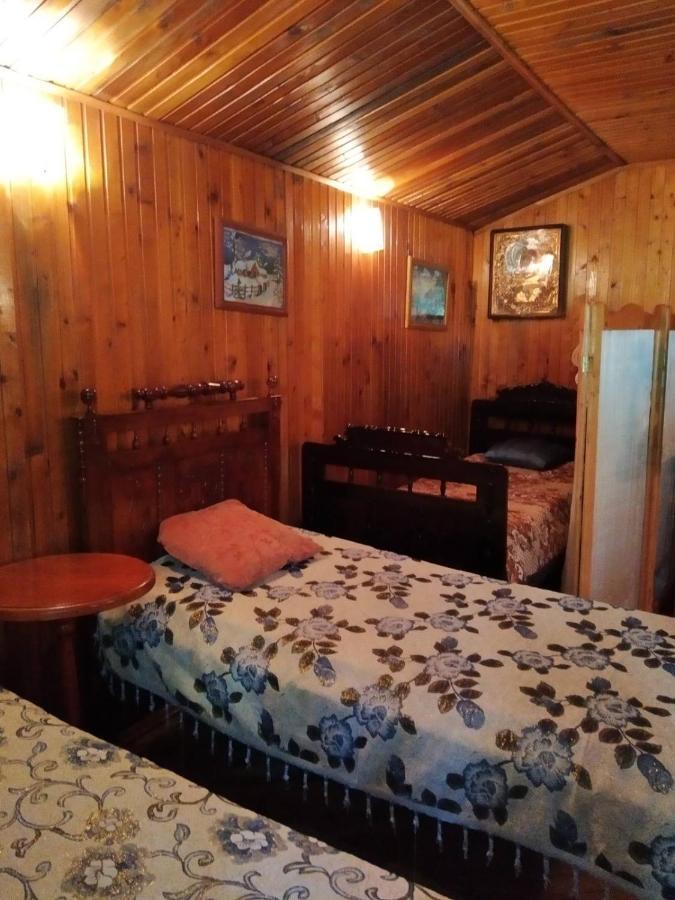 Domik S Saunoy Na Ogiyenko Apartment Camenița Exterior foto